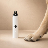 PawGrind next to a calm relaxed dog paw
